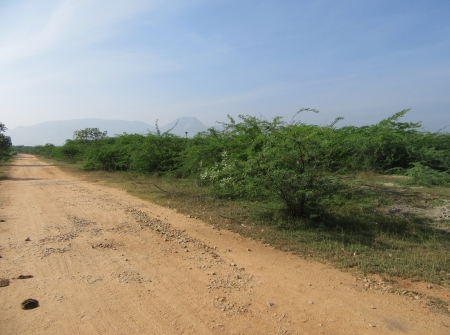 1) 600 Ankams Plot for Sale Near Peruru Tirupati.JPG